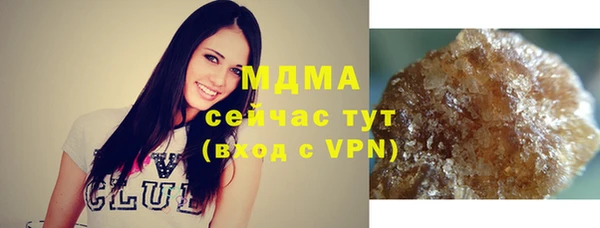 прущие грибы Вязники