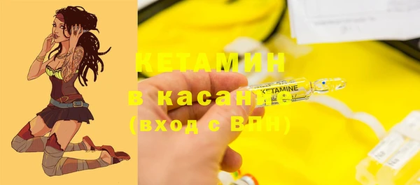 гидра Вязьма